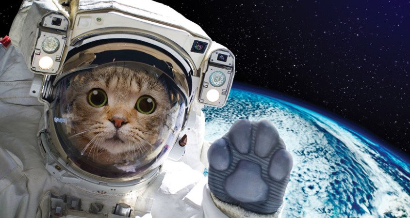 Wish you all a happy monday, from outer space, 💞
@HamillHimself
<a href="/IDreamOfHamill/">I Dream Of Snoopy</a>
<a href="/YodaForces/">Master P💜🐨</a>
<a href="/Dune_Tatooine/">🌕Tatooine 🐕🐕 ❄️</a>
@Claudia__83
<a href="/KirinArnold/">Kirin Met TEM!!!!!</a>
<a href="/BallanoJ/">M J BALLANO</a>
<a href="/1Flukeskywalker/">Fluke Skywalker- Not M Hamill</a>