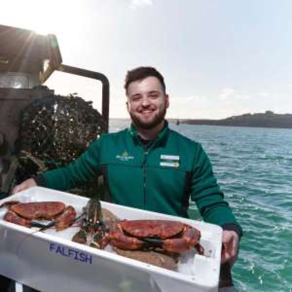 Morrisons becomes first British supermarket to buy its own fishing boat

An interesting example of backwards vertical integration a.msn.com/r/2/BB1e7DQz