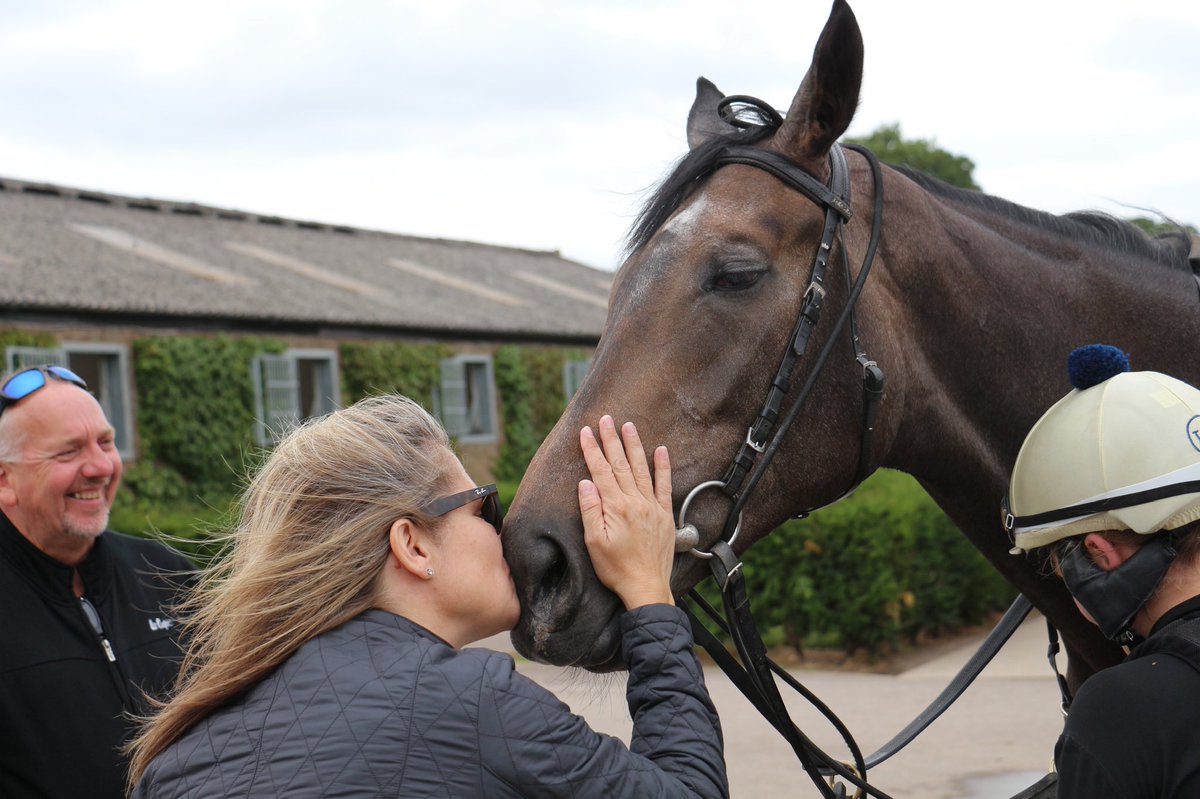 #lovetheracehorse Let’s flood social media with the love we have for the horse. I, for one, think we are lucky to be part of their lives. Owners, breeders, trainers and stable staff alike, we are privileged... this picture sums it up for me. 🥰🥰🥰🥰