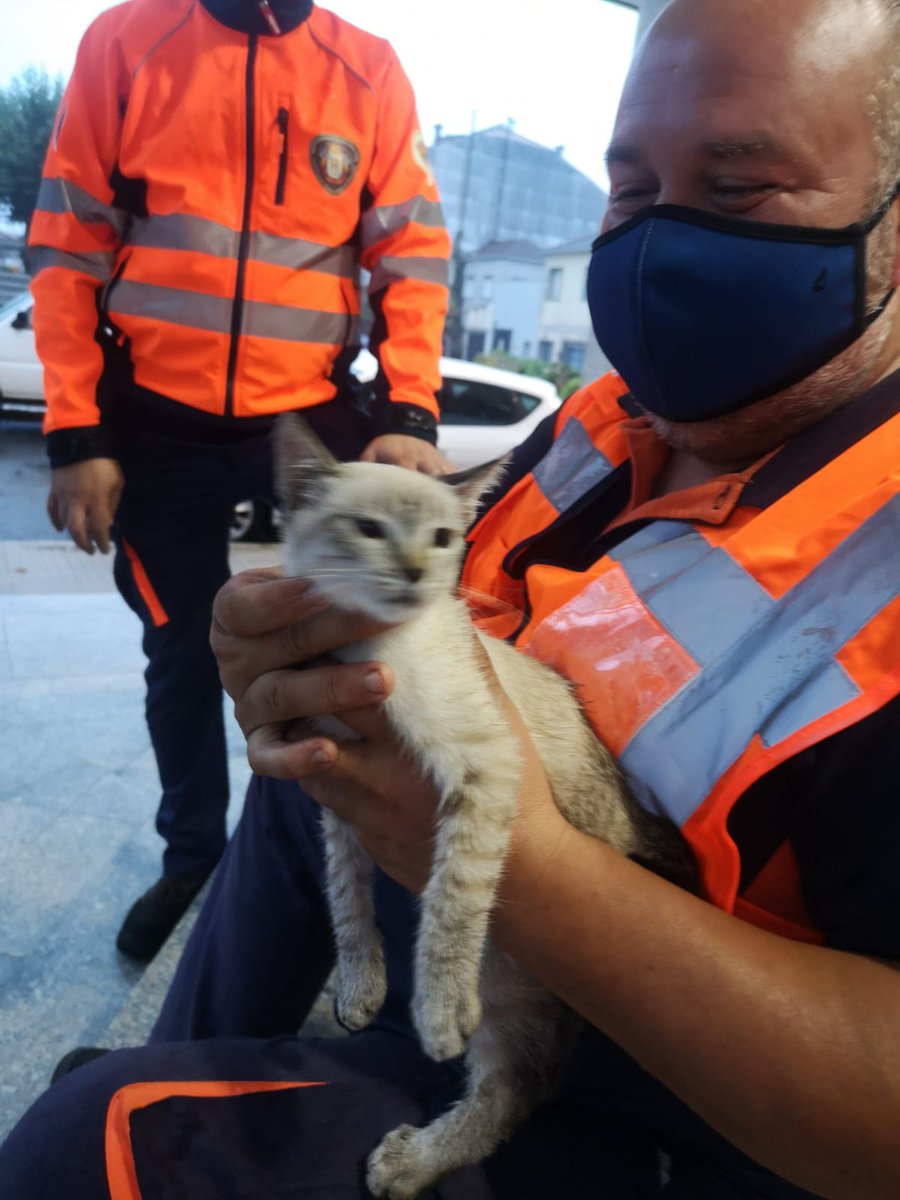 turismodecvntis's tweet photo. Hoxe é o #DíaInternacionalDeProtecciónCivil e queremos aproveitar para dar as grazas a tódolos membros do equipo de @PCCuntis que cada día poñen toda a súa enerxía en axudar á cidadanía. https://t.co/Fd7k6cKhdF