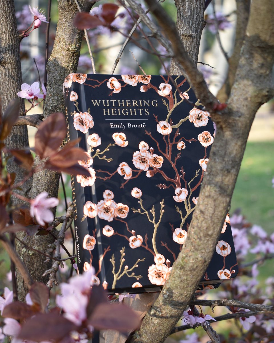 Qué decir de este gran clásico que no se haya dicho ya! #WutheringHeights de Emily Brontë era nuestra lectura de enero del <a href="/ClubSaudade/">Club de lectura Saudade</a>
Cuánto he disfrutado imaginando y leyendo las descripciones de los páramos! 
<a href="/ChilternPublish/">Chiltern Publishing</a> #ClubDeLecturaSaudade
instagram.com/p/CL4uiW2F-8o/…