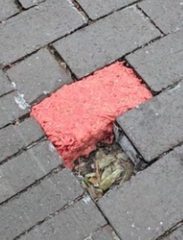 PetbredF's tweet photo. uhh @AnixRBLX i think i found your meat brick https://t.co/FddsjUcQfb