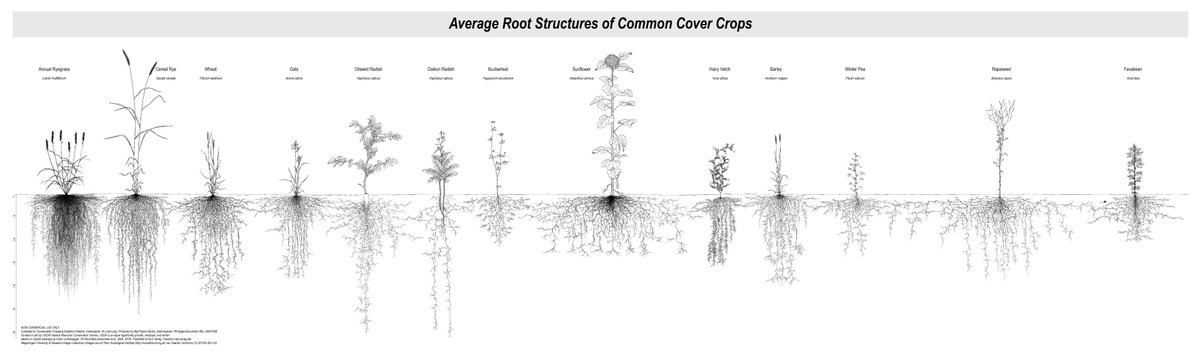Doug Adams tweet media