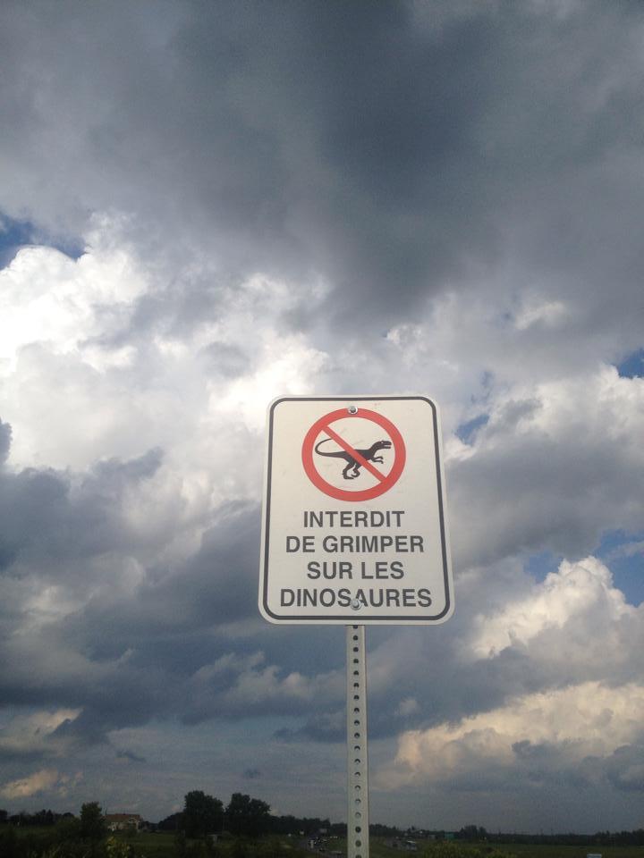 Archillect (@archillect) on Twitter photo 