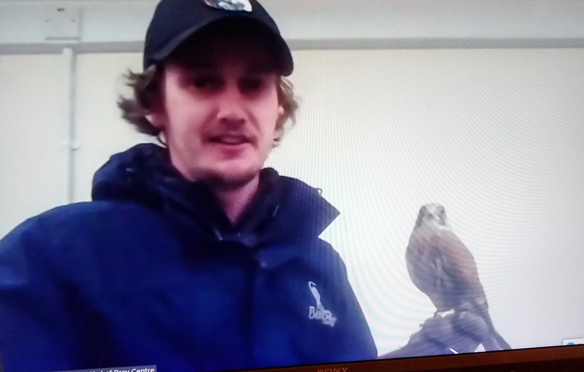 Thank you to <a href="/ukbirdsofprey/">BritishBirdsofPrey</a> who joined our Group call tonight. Brilliant for Beavers, Cubs and Scouts to have so many interesting questions answered. Who knew they sleep on one leg?! A fascinating evening - thank you! 🦉 <a href="/penarthdistrict/">Penarth and District</a> <a href="/ScoutsCymru/">ScoutsCymru</a> @traceyljames4
