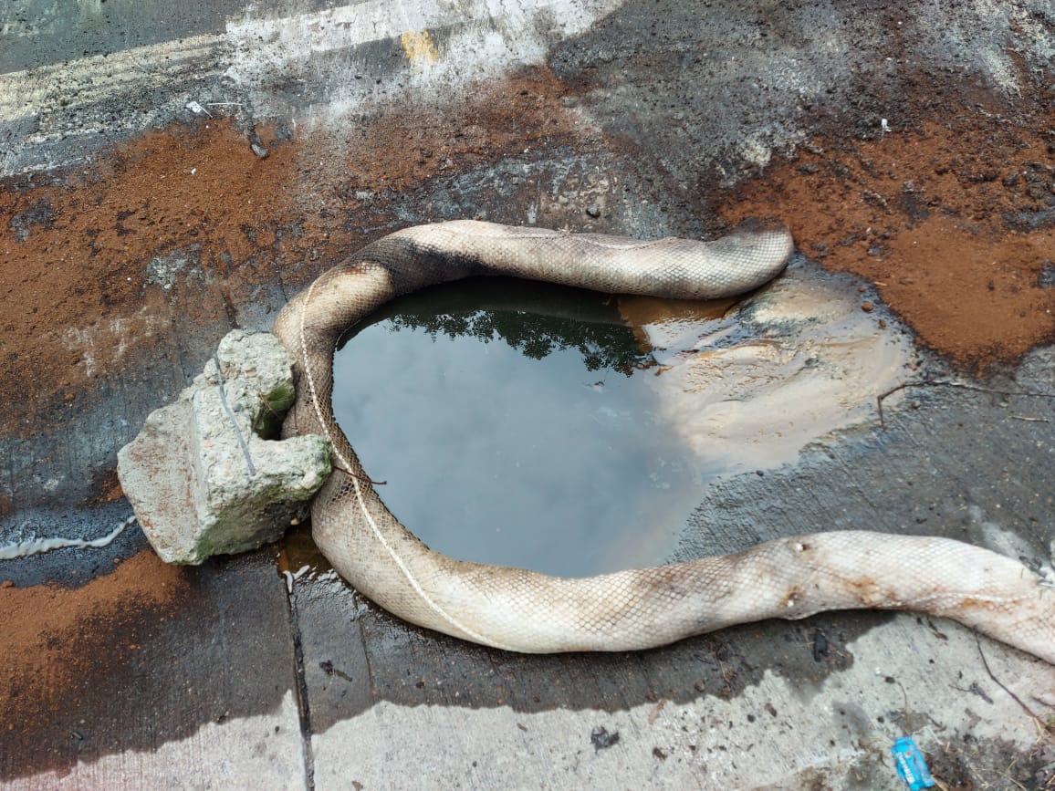 CAR_Cundi's tweet photo. #Atención| Se presenta volcamiento de tractocamión a la altura del municipio de Sasaima, sector La Herradura, donde se derraman aproximadamente 1.500 galones del producto Carboflex PF sobre la fuente hídrica río Dulce, afectando la bocatoma del acueducto de Villeta. https://t.co/vYQFfhkfWR