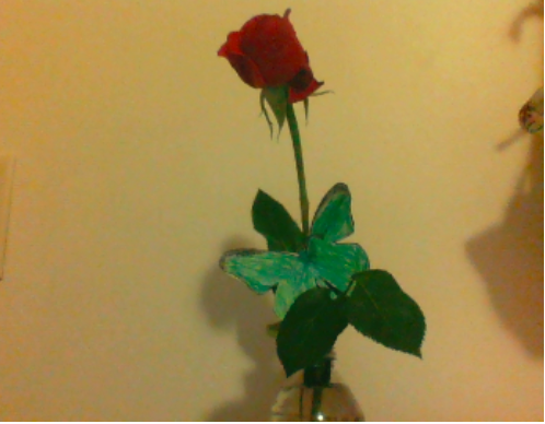 EMSTeam2 tweet media