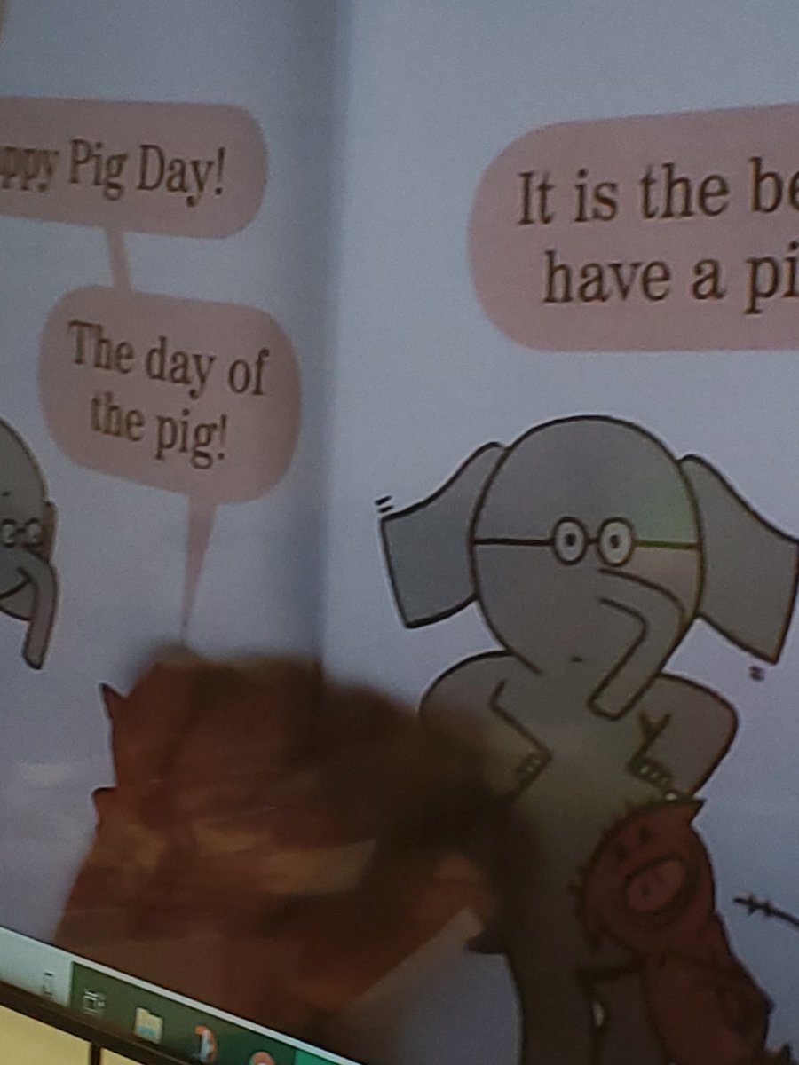 TeachingMsSassy's tweet photo. A is sharing his favorite book for #ReadAcrossAmerica week- Favorite book day. His favorite book is @mowilliams Happy Pig Day. Our class loved it!! #VSEMissionPossible https://t.co/c6CmCM7472