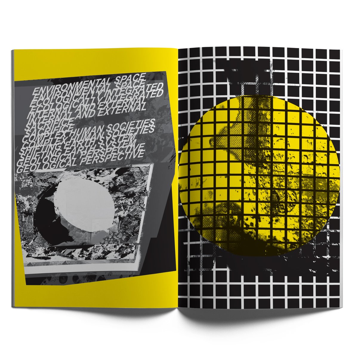 Rob Carmichael tweet media