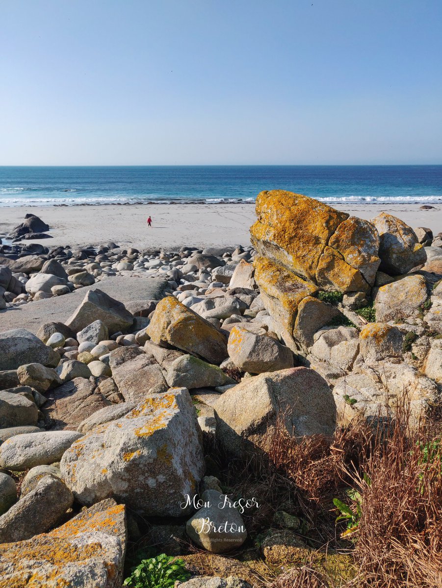 Décidément le soleil ne nous quitte plus 🌞 #Bretagne 
📍 Lampaul Plouarzel, Finistère