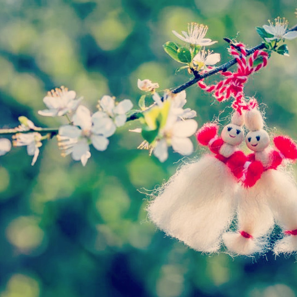 andrian_ivanov's tweet photo. Happy Granny March! https://t.co/ieLUL3pxVV