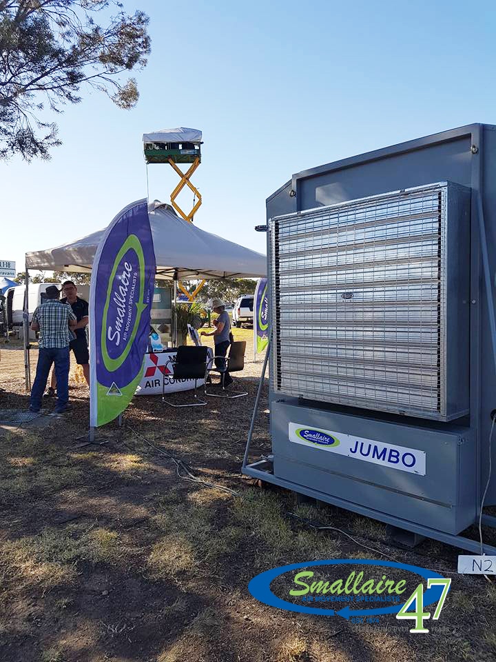 Smallaire tweet media