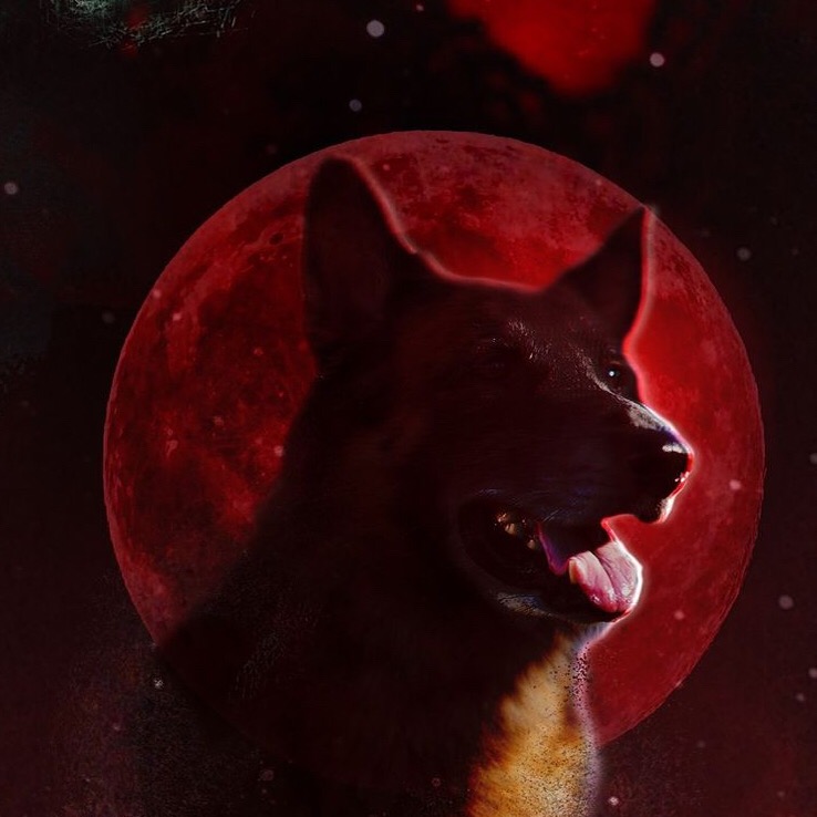amctwdla's tweet photo. ¿Extrañaron a perro? #TWD regresa esta noche en Latinoamérica

#twd #thewalkingdead #twdlat #walkingdead #season10 #temporada10 #thewalkingdeadespañol #episode17 #capitulo17 #twdfamily #twdamc #twdbrasil #insta #instalike #instagood #latinos https://t.co/KQ4w3V2m1P