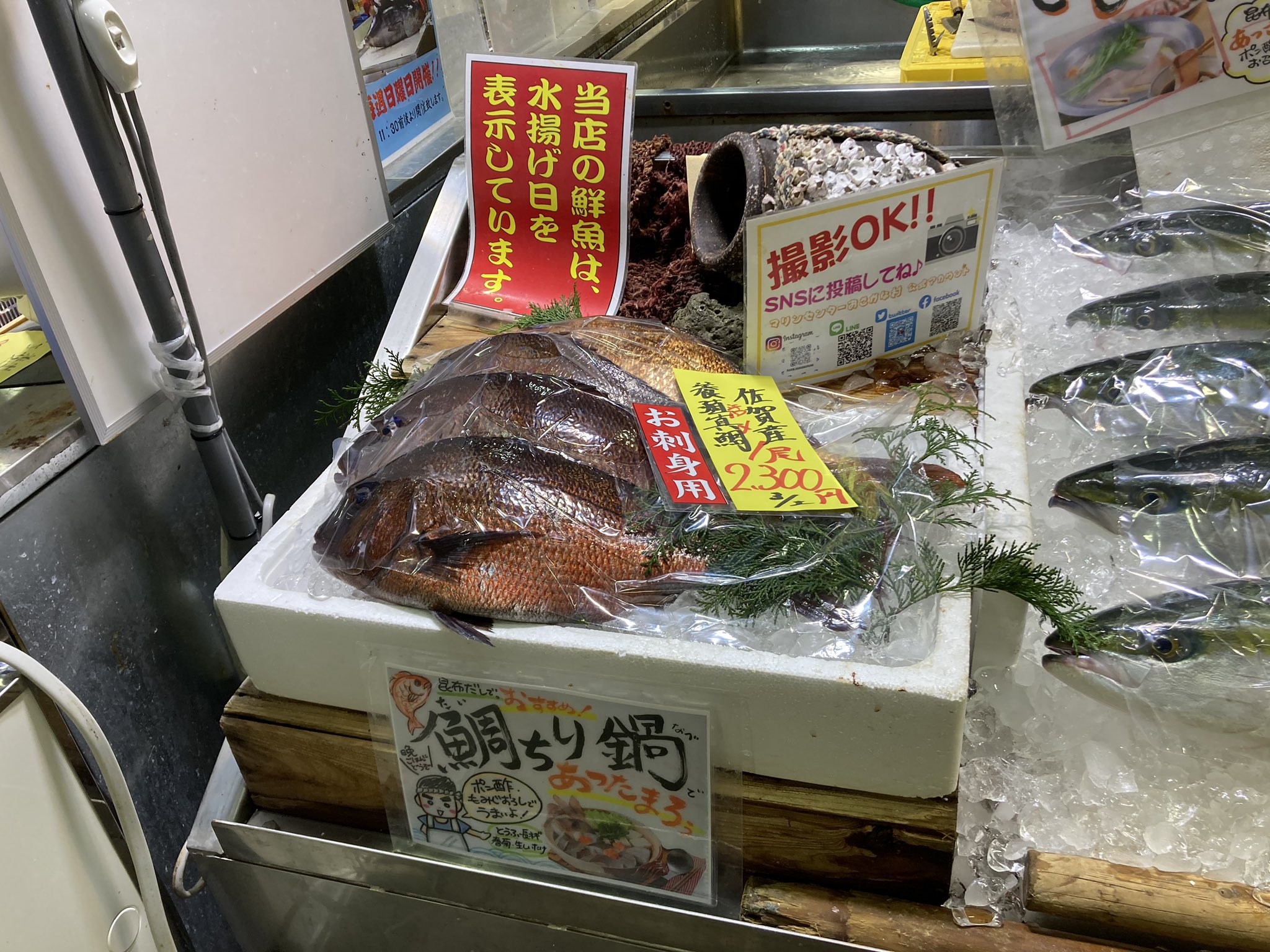 マリンセンターおさかな村 公式 Pa Twitter 本日の朝どれ新鮮鮮魚 養殖真鯛 天然真鯛 天然ブリ 高級魚クエ 佐賀ブランド玄海サーモン など 唐津 おさかな村 朝どれ鮮魚 なるより T Co Ndhnjqyomg Twitter