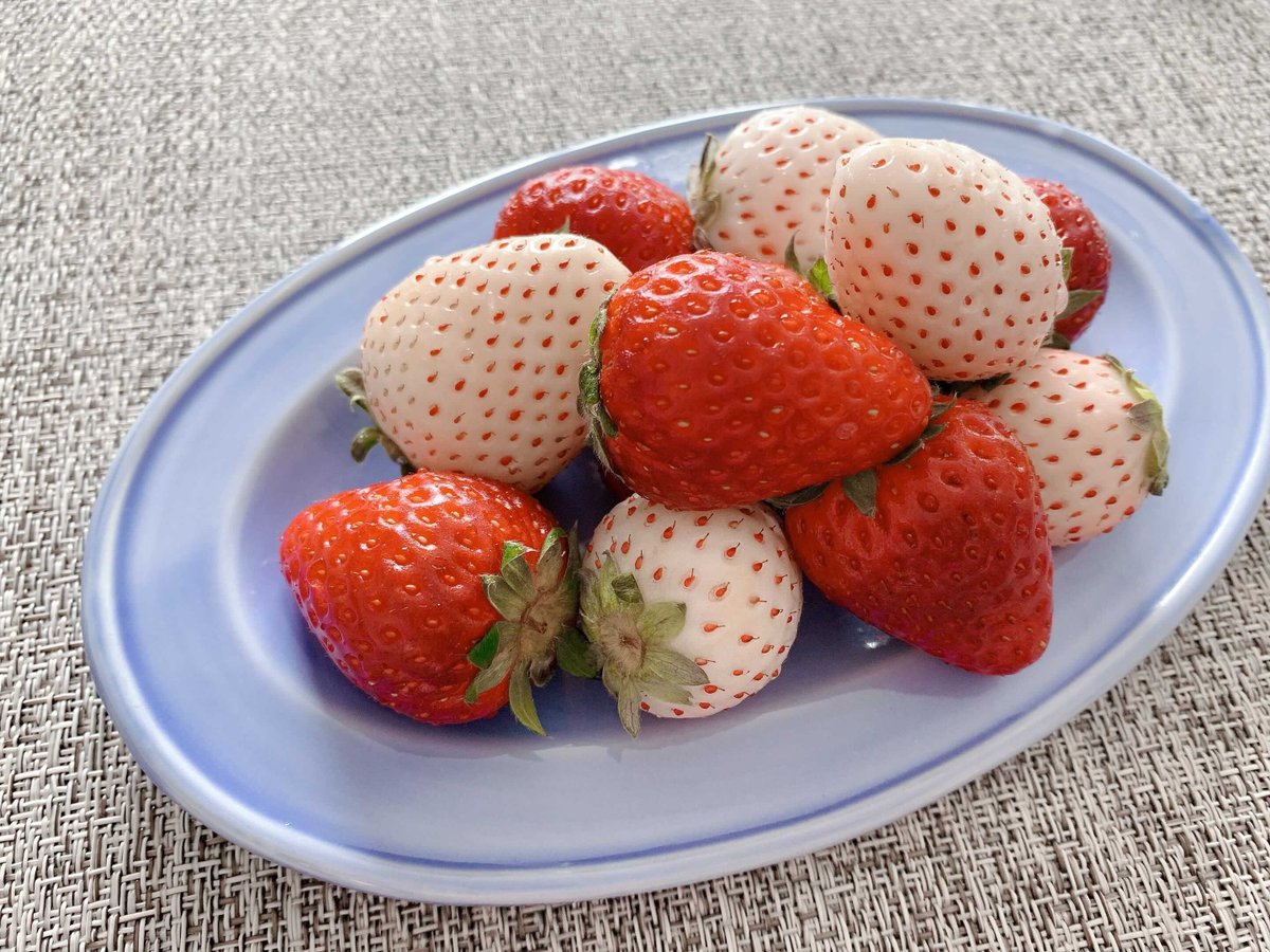 コープさっぽろ 公式 まんぷく新人王決定戦 キャンペーン実施中 中の人はイチゴが大好きなので ちょっと奮発 古都華 パールホワイトのイチゴを買いました これがまた甘くてうまい ホワイトは中まで美白でした コープさっぽろ しんことに