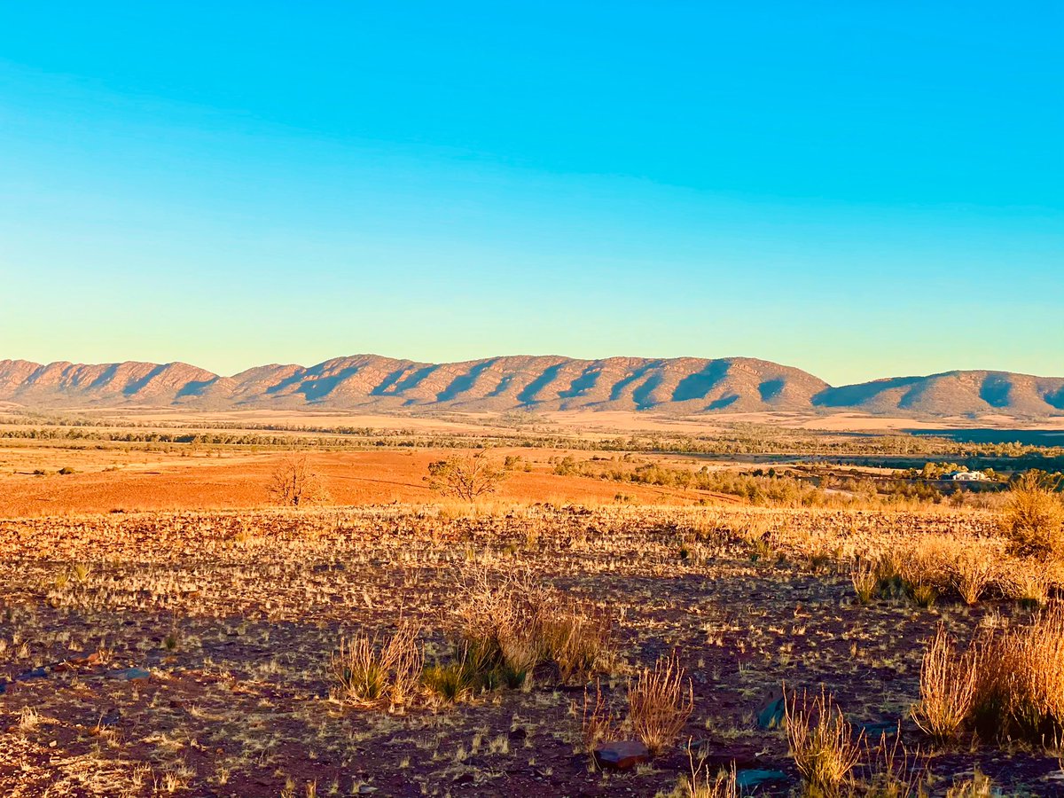 There’s nothing better than when you finally get to see something with your own eyes to believe it. A well-spent holiday at Flinders Ranges. 
#shotoniphone