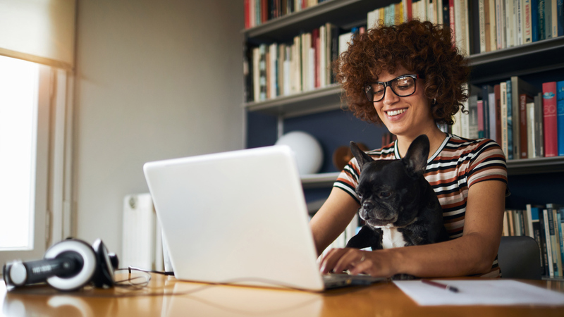 vGazza's tweet photo. Ensuring application performance for a seamless #WorkFromHome experience with #SDWAN https://t.co/ODqFCWY2QN @VMwareSDWAN @vmwonvmw #VMWonVMW https://t.co/N8Ql61Vv3S