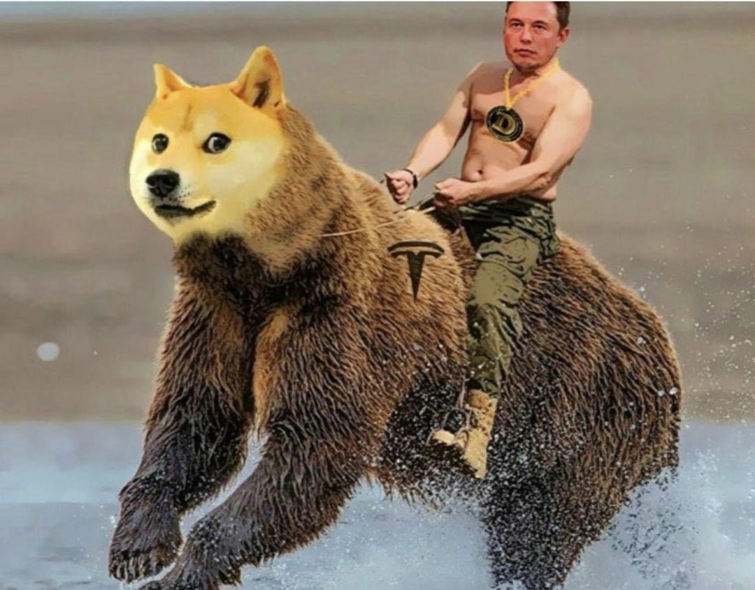MartyStratego's tweet photo. @tommyinnit @elonmusk It's Just a tweet. Forget about all the followers he has. He can tweet what he want mate. Elon is the Best Human being in this World. Don't judge him please. https://t.co/nUmfq5rTew