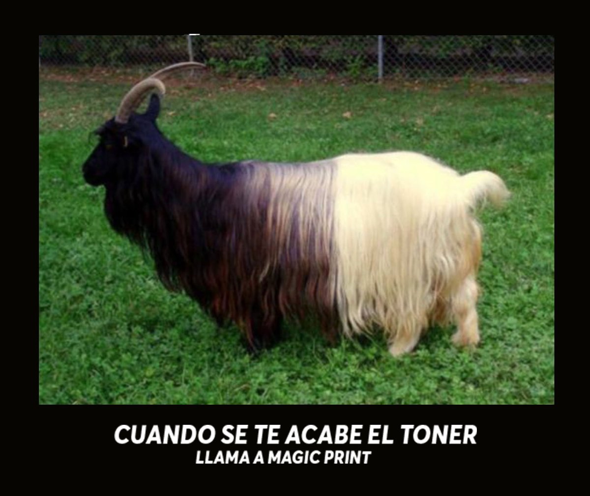 MagicPrint7's tweet image. ¿Tu impresora laser se a quedado sin toner?😞😱🖨
🟠 Cotiza sin compromiso
      📲 222 338 6211📞💬
🔴 Pregunta por nuestro Servicio a Domicilio 🚘🕒
#MagicPrint #MasCercaDeTiAUnSoloClick
#Servicio #GARANTIZADO #QuedateEnTuCasa