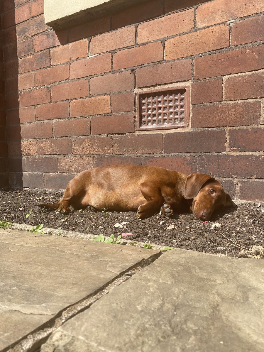 LDollyfitz's tweet photo. We love it when the sun comes out!☀️ https://t.co/ANhwJxeWWz