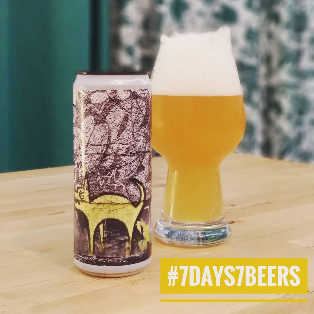 Comenzamos quinta edición de #7days7beers con #YellowSnow de#FreddoFox. #IPA muy suave de solo 5.2% que casi pasa por una session. Lúpulos Citra y cashmere. Turbia, buen aroma y pasa por el gaznate sin despeinarse. Vamos que te podrías beber un litro si te despistas un poco.