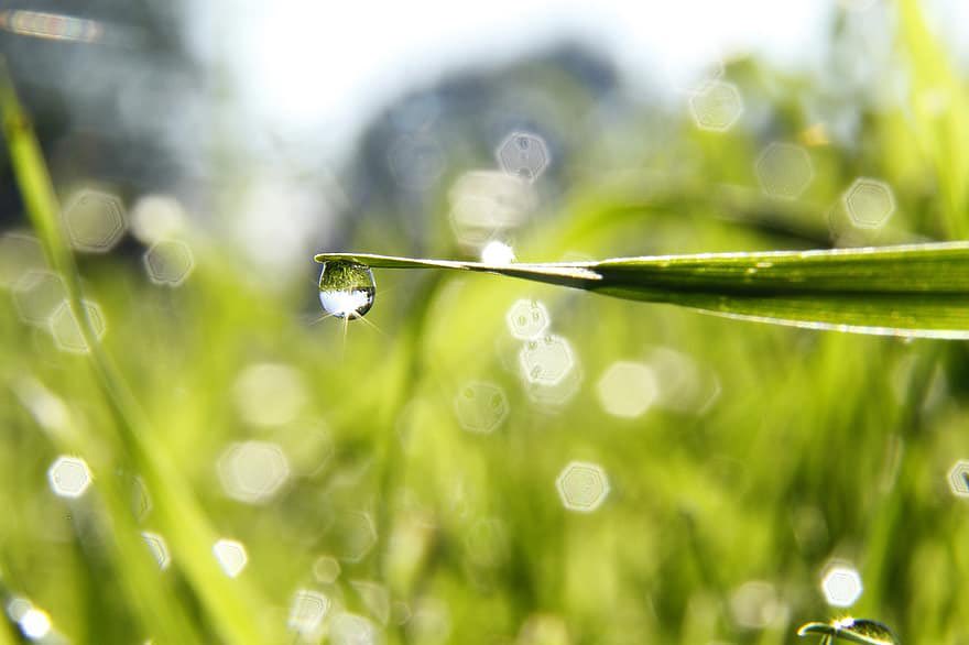 Olaf Melsen tweet media