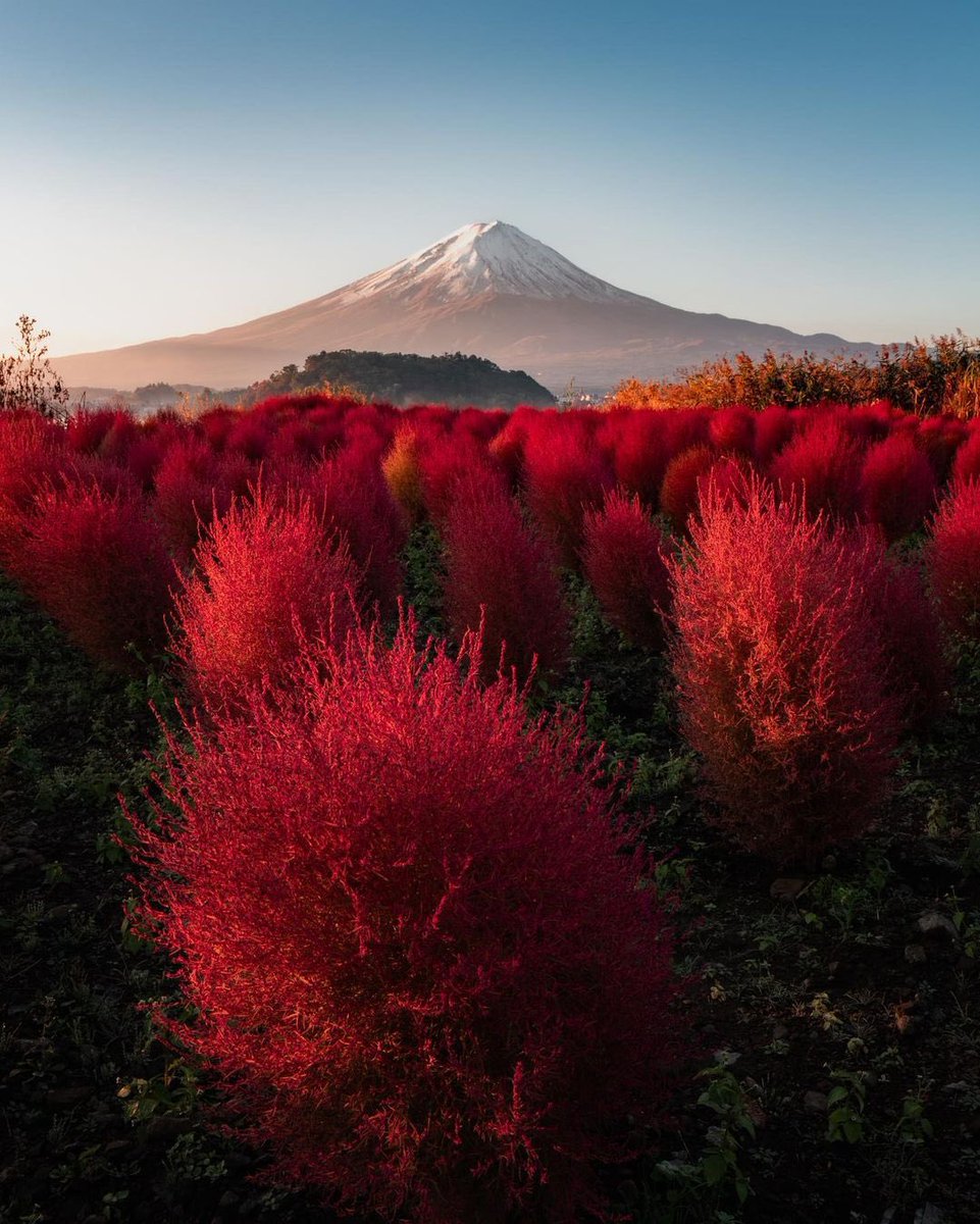 geoffroywol's tweet photo. Le Japon c’est un rêve https://t.co/HW4Hn7LKBc