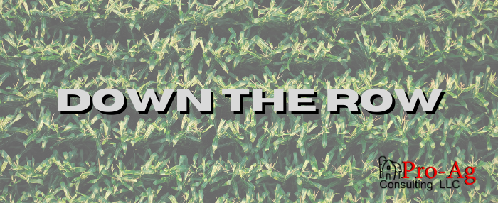🌽 Down the Row - mailchi.mp/3769de315b6f/d…