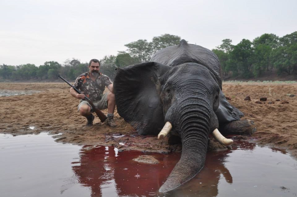 This #Elephant was shot by this SCUMBAG whilst it was drinking at a watering hole. Absolutely NO skill involved in this AT ALL!!

Is it ANY wonder #trophyhunters are DESPISED by the MAJORITY of society!!

RT if you believe that there should be a GLOBAL ban on ALL #trophyhunting!!