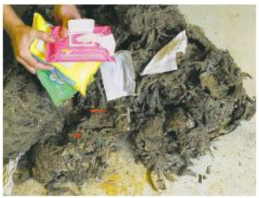 nowipes's tweet photo. #DontBelieveTheHypeDontFlushYourWipes 
Special thanks to the City of Atlanta Department of Watershed Management for helping spread the #NoWipes in the Pipes word.

https://t.co/XDBinVfjO4 https://t.co/VWr5OdbAhx