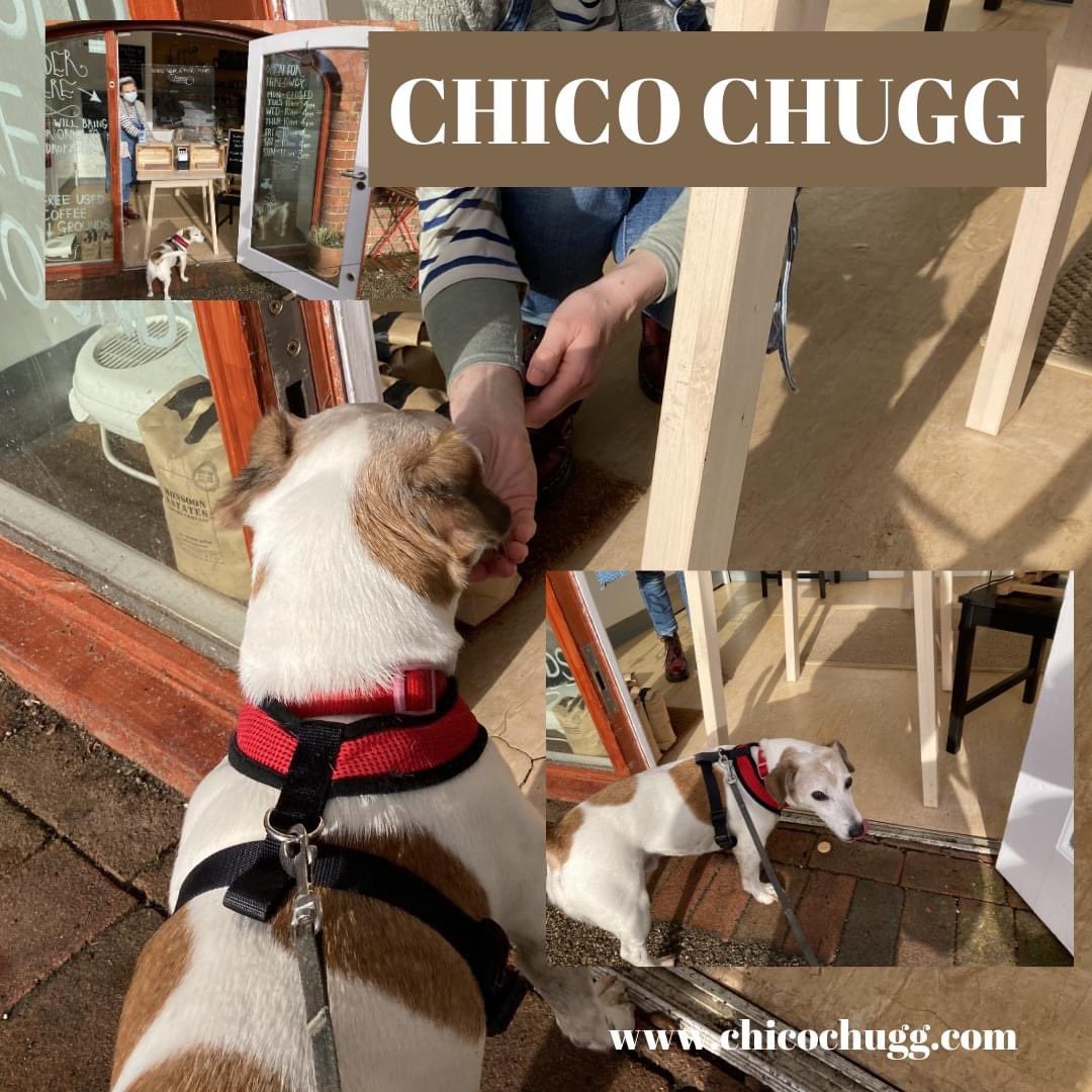 ChicoChugg's tweet photo. Went for a nice walk in the park this morning and I got my treat from The Old tool shed @CaldecotPark. Thanks it was yummy. See you next week. Big woofs Chico. #dogs #jackrussellterrier #kidsbooks #kidstv #families #softtoydogs #dogthemedgifts #funstoriesforkids #jackrussell https://t.co/YSDOTgo1dt