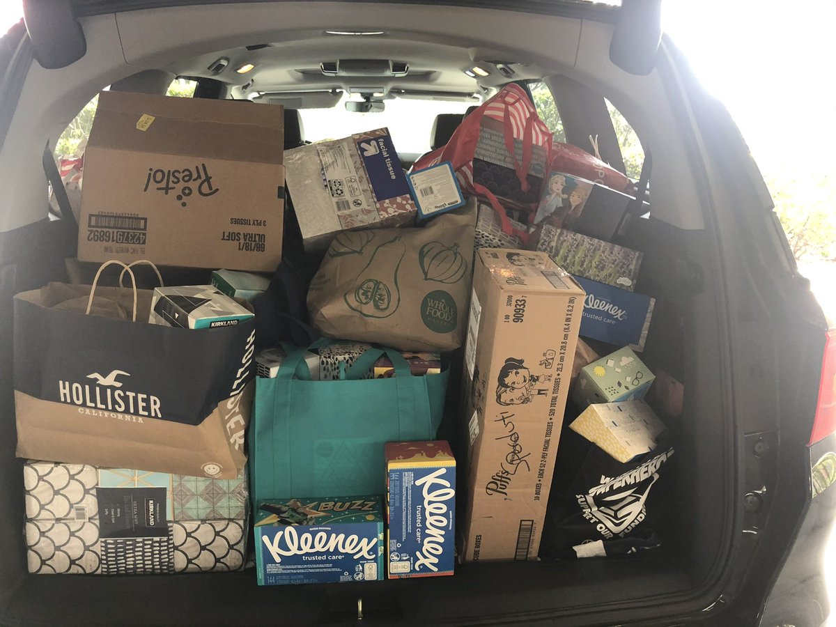 DragonsNjhs's tweet photo. On Friday, we donated a carload worth of tissues, lollipops, and character bandaids to @SofiasHopeNPO, a fantastic organization fighting childhood cancer. We are honored to help in the fight and bring comfort to brave kids battling cancer 💚💚 @RachelCapitano @DonEstridgeHTMS https://t.co/NOB3A1bjUj