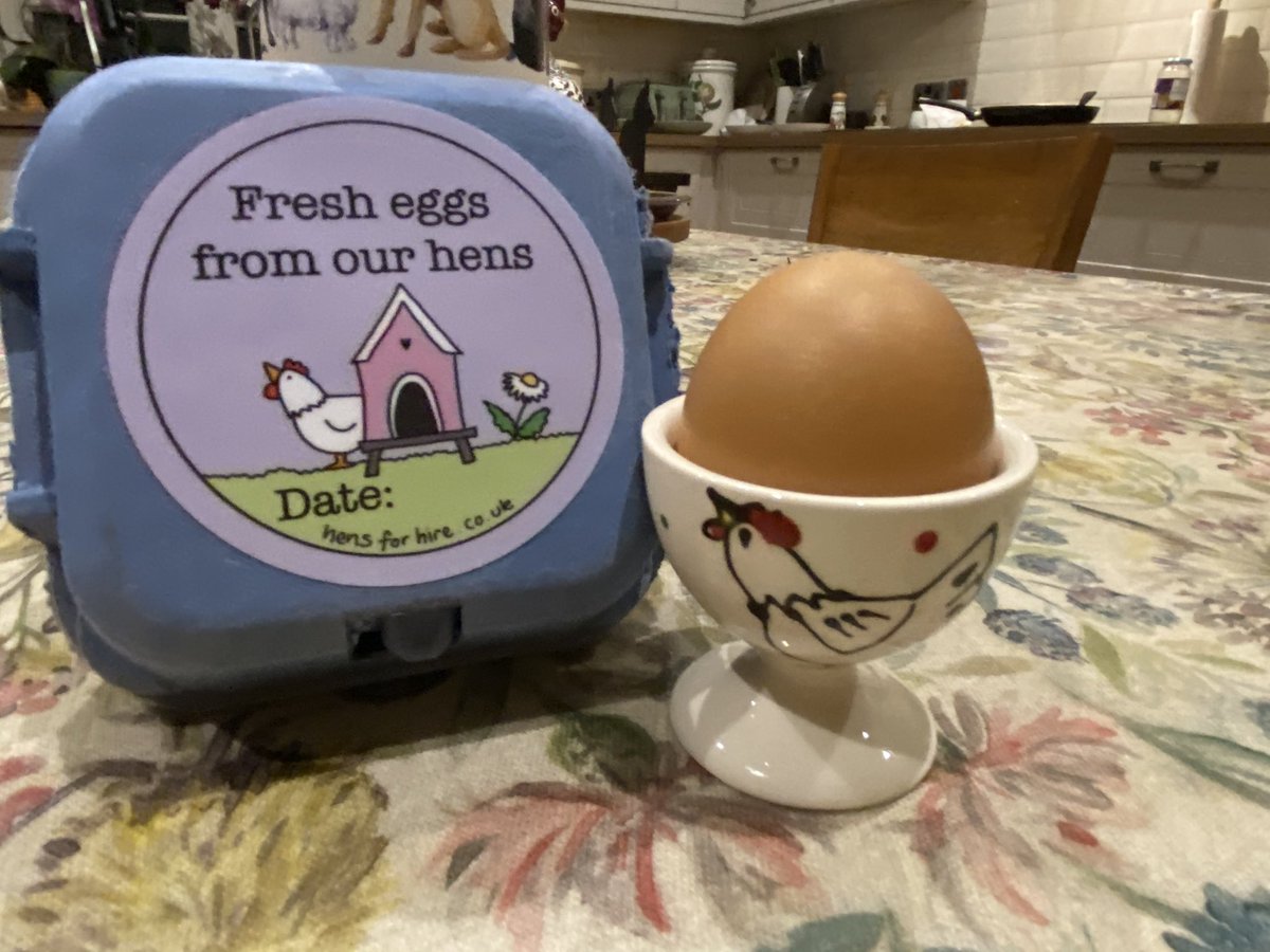 How cute is this? #hensforhire #hensofinstagram #eggs #eggcups