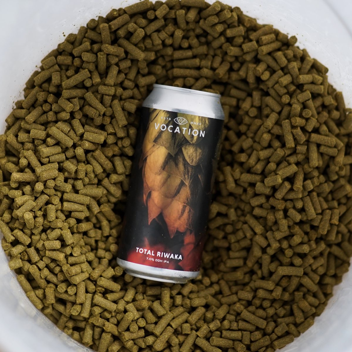 Stable Ales tweet media