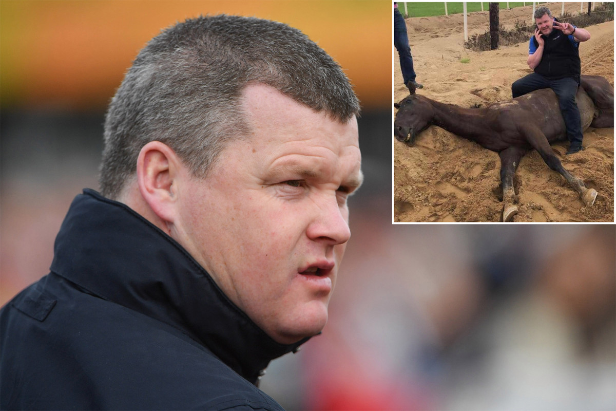 Gordon Elliott apologizes for photo showing him sitting on dead horse