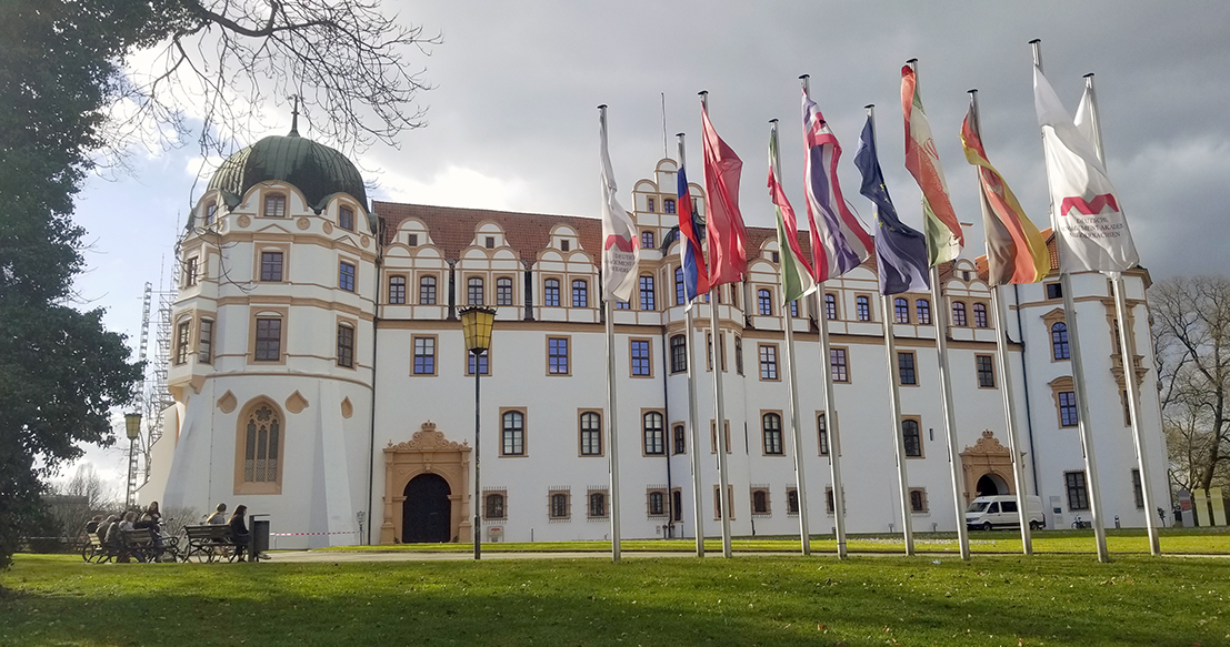 2 Million Blossoms tweet media