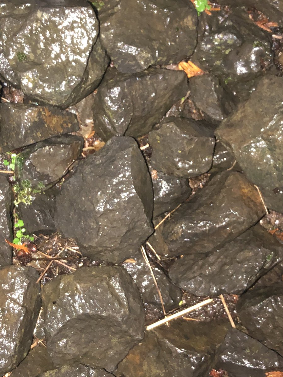 #RunningStreak 1860, a manageable day:

instagram.com/p/CL5C917n2fs/…

YTD #running only 872km/543mi 🤔

#depressed #life #rocks #run #RunChat #RunEveryDay #RunningEveryDay #RunStreak #RunTheYear #RunTheYearThrice #RunTheYearTwice #SeenOnMyRun #seesaw #ThankfulForTodayComeWhatMay