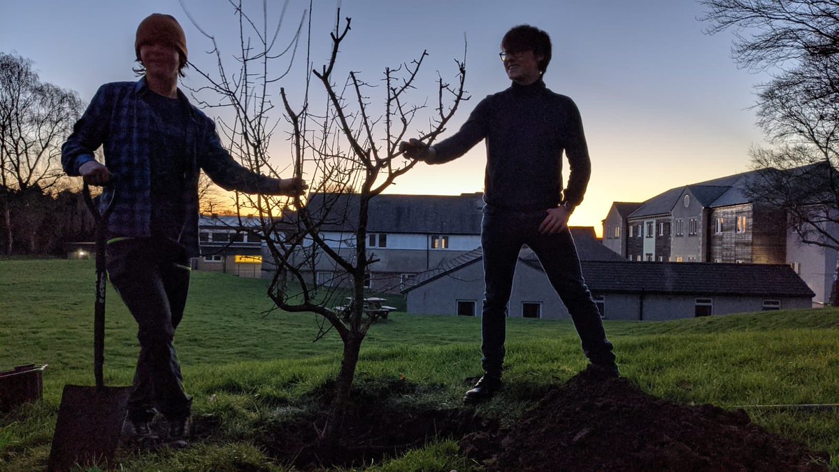 poppynic's tweet photo. #treeplanting #damsontree https://t.co/6ydSzBSNTD