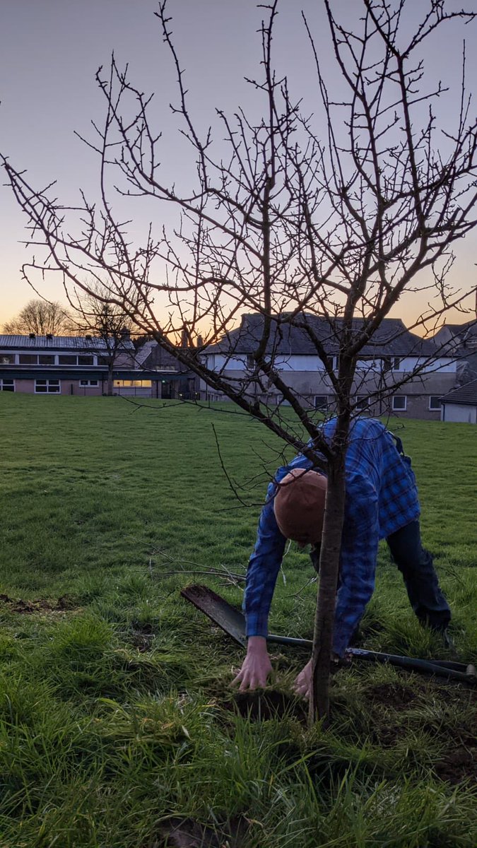 poppynic's tweet photo. #treeplanting #damsontree https://t.co/6ydSzBSNTD