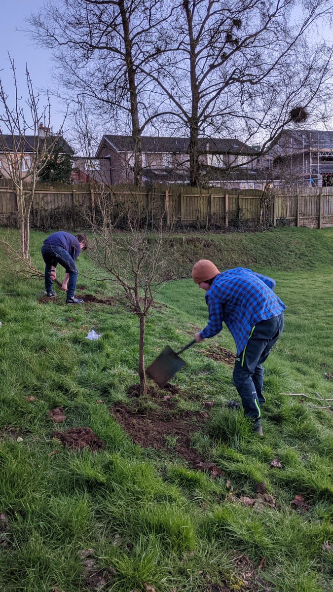 poppynic's tweet photo. #treeplanting #damsontree https://t.co/6ydSzBSNTD