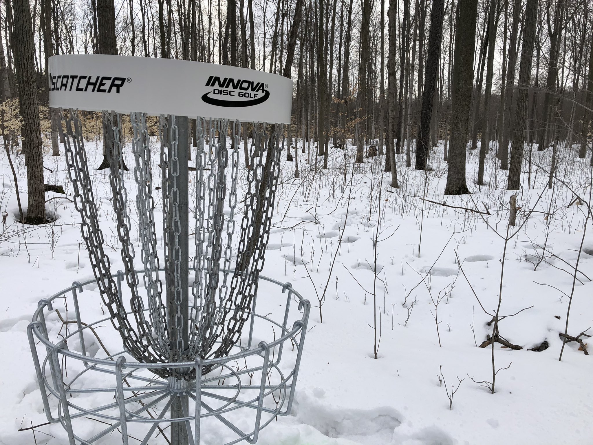 Innova Disc Golf Wallpaper