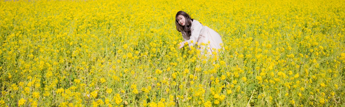 knock1965's tweet photo. #桜ゆりか ~旅の途中・春のメッセンジャー~

#portrait 
#photography 
#flower_fields 
#rape_blossoms https://t.co/Pw1OUDpvKb