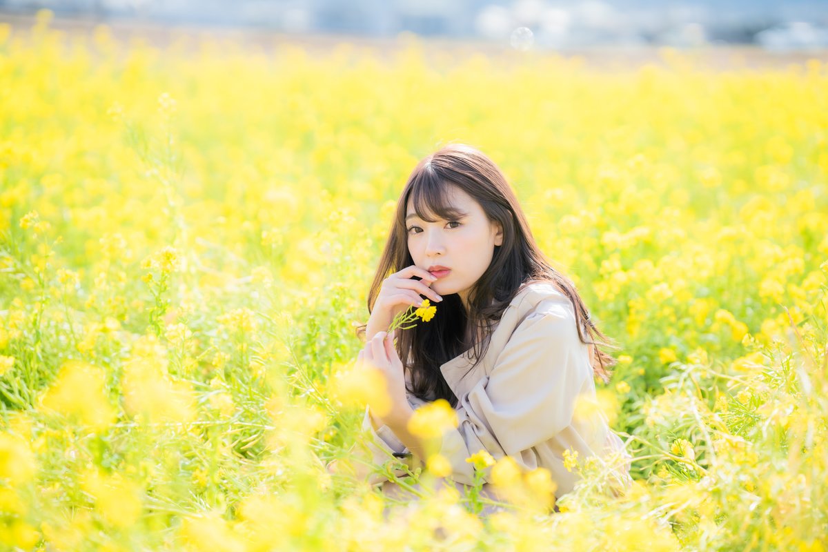 knock1965's tweet photo. #桜ゆりか ~旅の途中・春のメッセンジャー~

#portrait 
#photography 
#flower_fields 
#rape_blossoms https://t.co/Pw1OUDpvKb