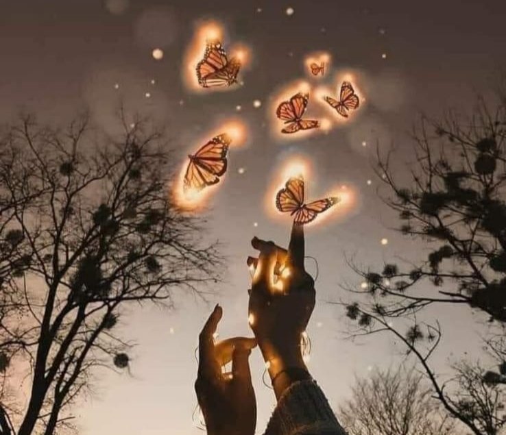 Buenas noches pequeños...
Soñad, soñad....