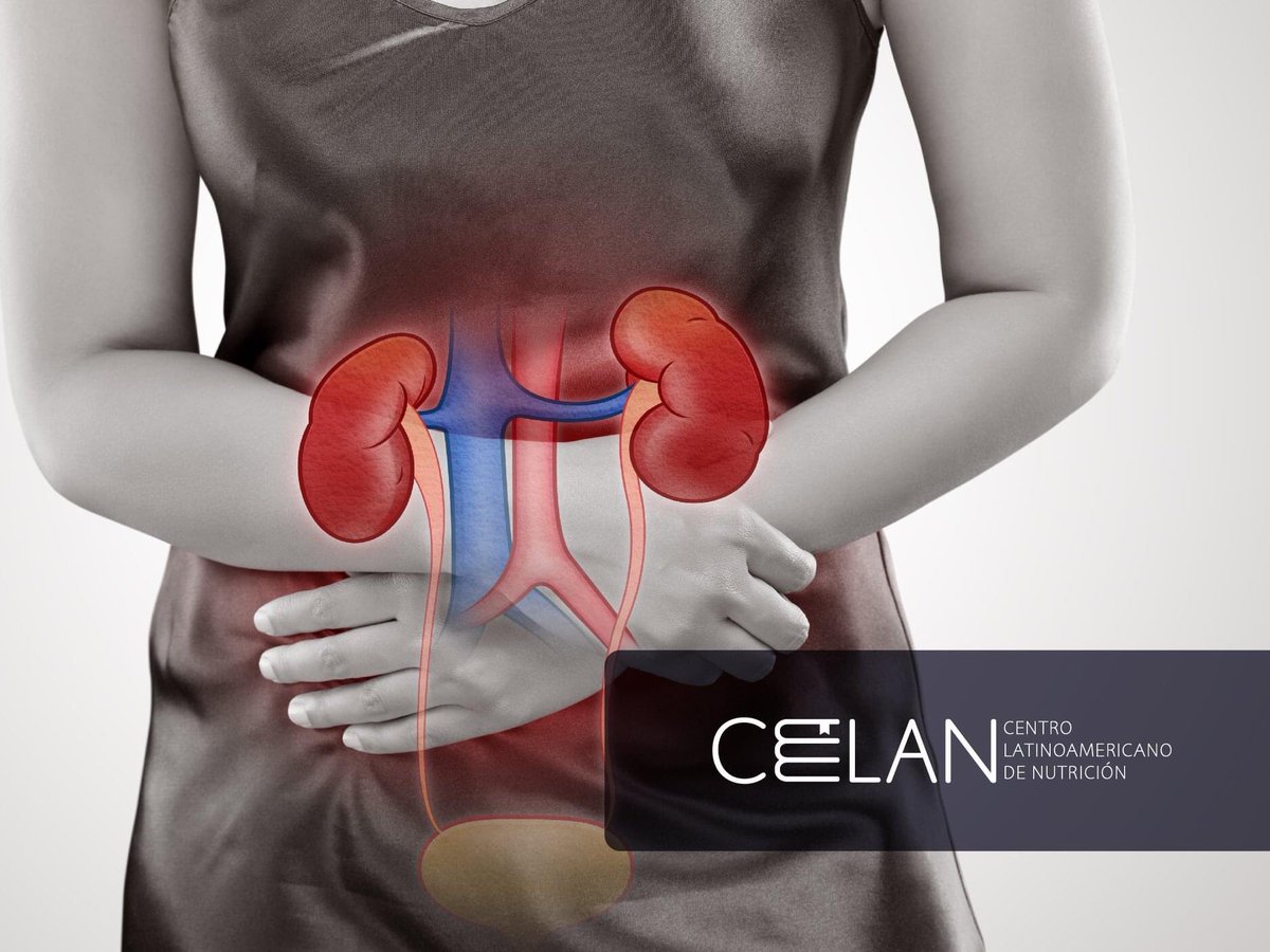 nutricioncelan's tweet photo. ⚠️Último día de inscripciones y descuentos para el curso virtual en Nutrición Aplicada en Enfermedad Renal Crónica⚠️ ¡Anímate e inscríbete!

Envíanos un mensaje para obtener toda la información pertinente🔁 https://t.co/Ebam8QtbYQ