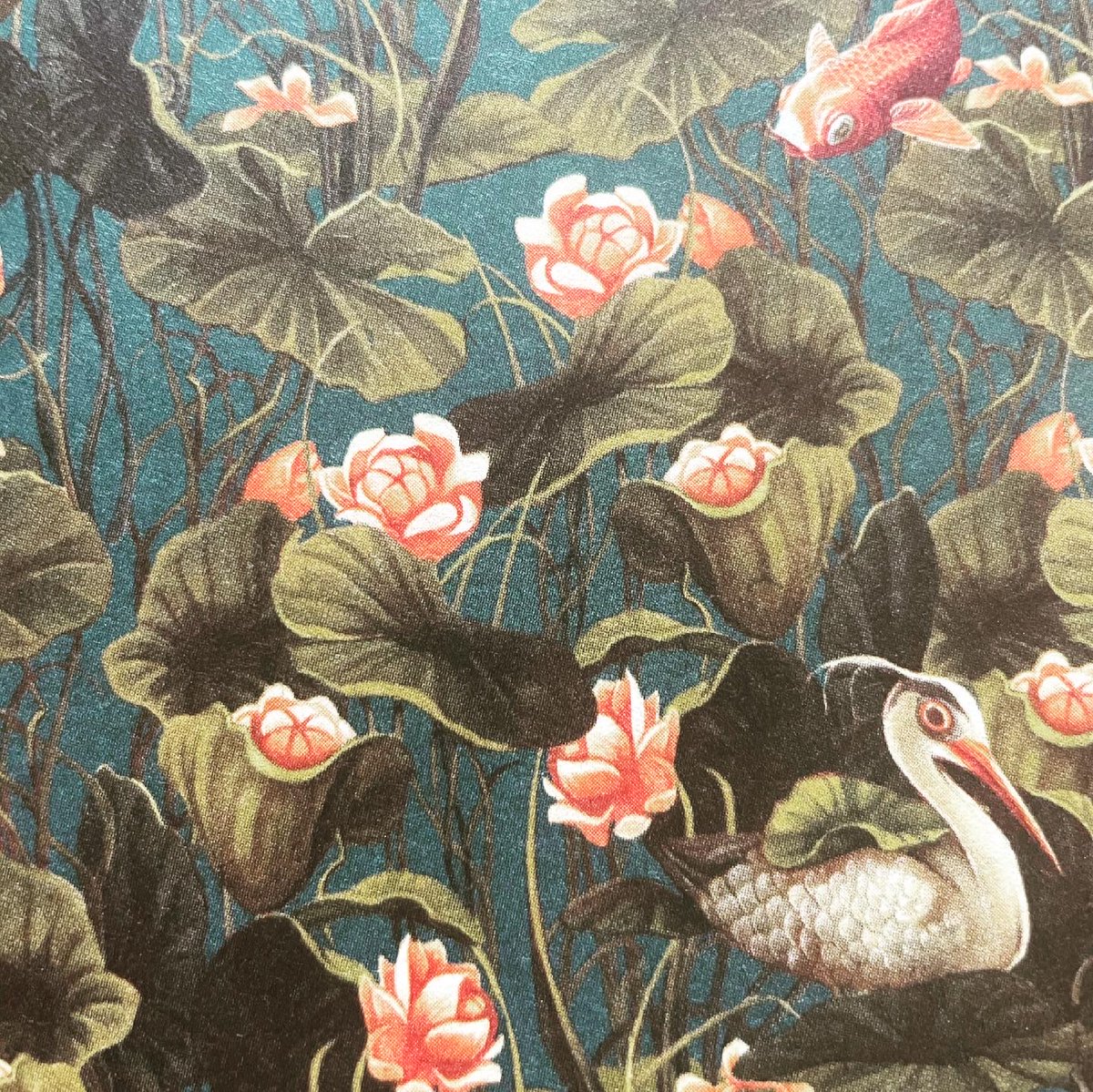 MurmuresNum's tweet photo. Encore un précieux tome de la collection #métamorphose ! J’aime énormément le travail de Benjamin Lacombe et cette fois encore j’ai été emporté par l’univers qu’il arrive à insuffler à des textes qui en eux-mêmes ne sont pas incroyables. #fantasy https://t.co/C1toWCo4kz