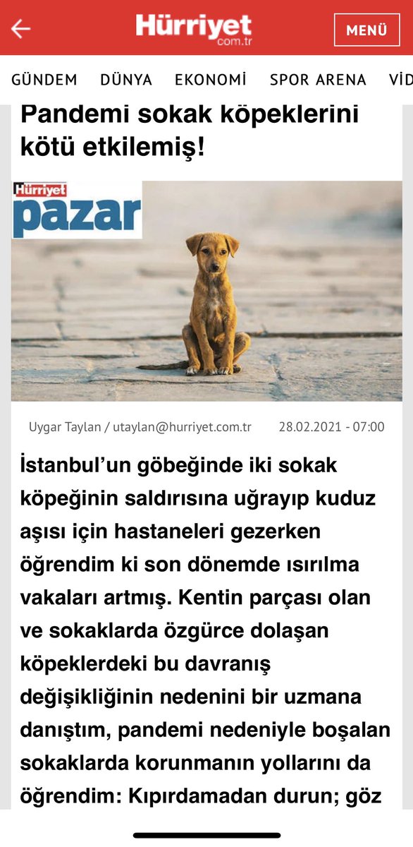vetpsiko's tweet image. Pandemide sahipsiz köpeklerin insanlara saldırması ile ilgili soruları cevapladım, geçen pazarki Hürriyet Gazetesi’nden okuyabilirsiniz. #hürriyetgazetesi #pandemiveköpekler #sahipsizköpekler