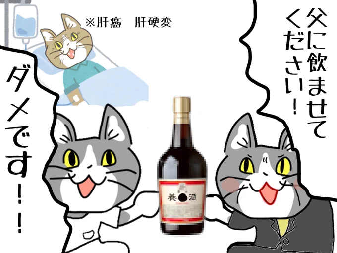 #現場猫 #看護師
家族を想う気持ちはわかるがやめてください。 