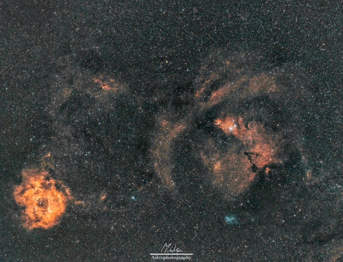 mwilsonastro's tweet photo. The Cone and Rosette nebulas in HaRGB. #astrophotography #astronomy #space #astronomik #nightsky #skyatnight #night #Hafilter #nebula #conenebula #rosettenebula https://t.co/3f0r5UErch