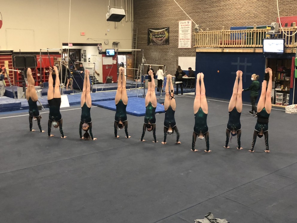 Coach Polk (@coachnvg) on Twitter photo New skills & individual qualifying scores, a win over Hartland & Northville, and a NEW second highest team all-around ever for the Wildcats this past Saturday night! Way to get after it, Wildcats! 💚🤍 #novipride <a href="/BgordonBrian/">Brian Gordon</a> New skills & individual qualifying scores, a win over Hartland & Northville, and a NEW second highest team all-around ever for the Wildcats this past Saturday night! Way to get after it, Wildcats! 💚🤍 #novipride <a href="/BgordonBrian/">Brian Gordon</a>